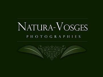 Création logo photographe